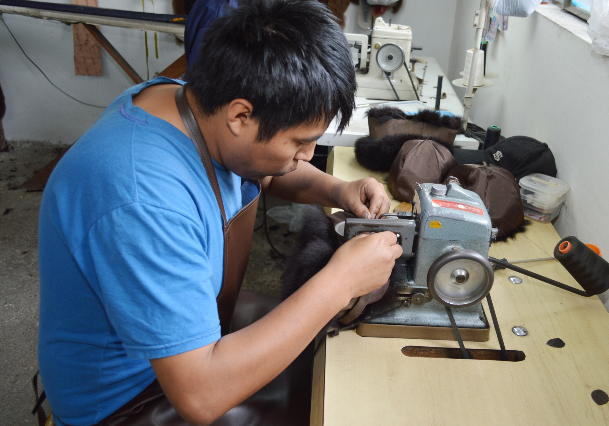 Discover how alpaca Teddy bears are made
