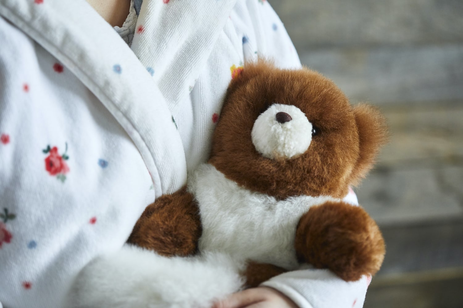 Luxe Cinnamon Alpaca Fur Teddy – Petite image 2