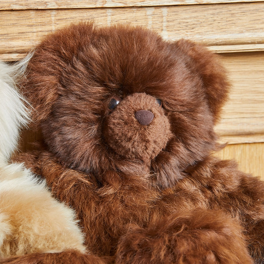 Limited Edition Rocco Teddy Bear in Chestnut Brown image 0