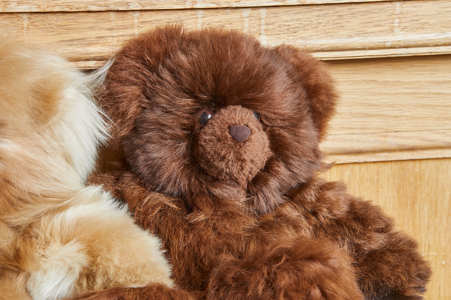 Limited Edition Rocco Teddy Bear in Chestnut Brown image 0
