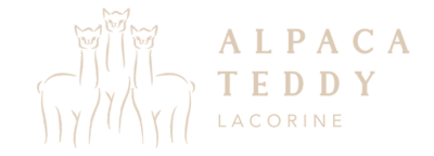 Alpaca Teddy