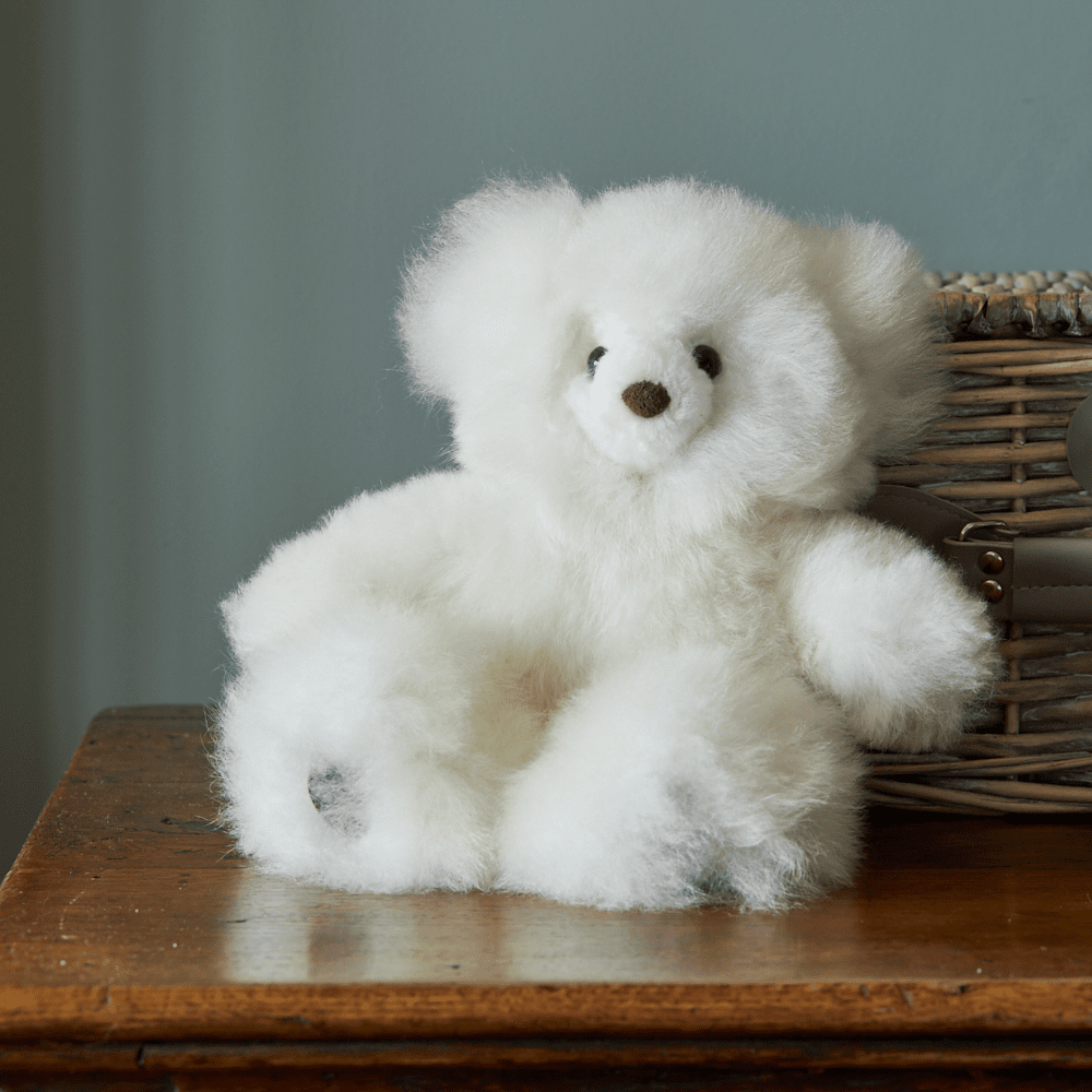 different types of teddy bear